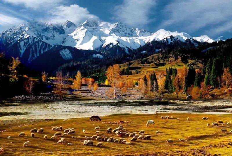 新疆，嘉宾与友朋共聚一堂